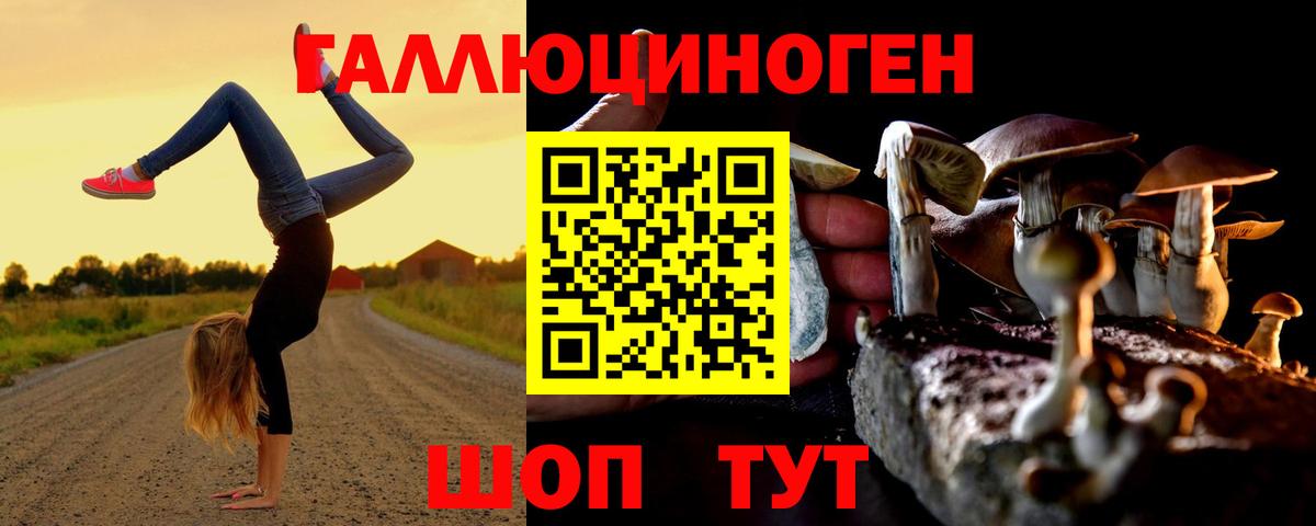 Псилоцибиновые грибы MAGIC MUSHROOMS  Псилоцибиновые грибы Psilocybine cubensis  Волгоград  Вход с VPN 